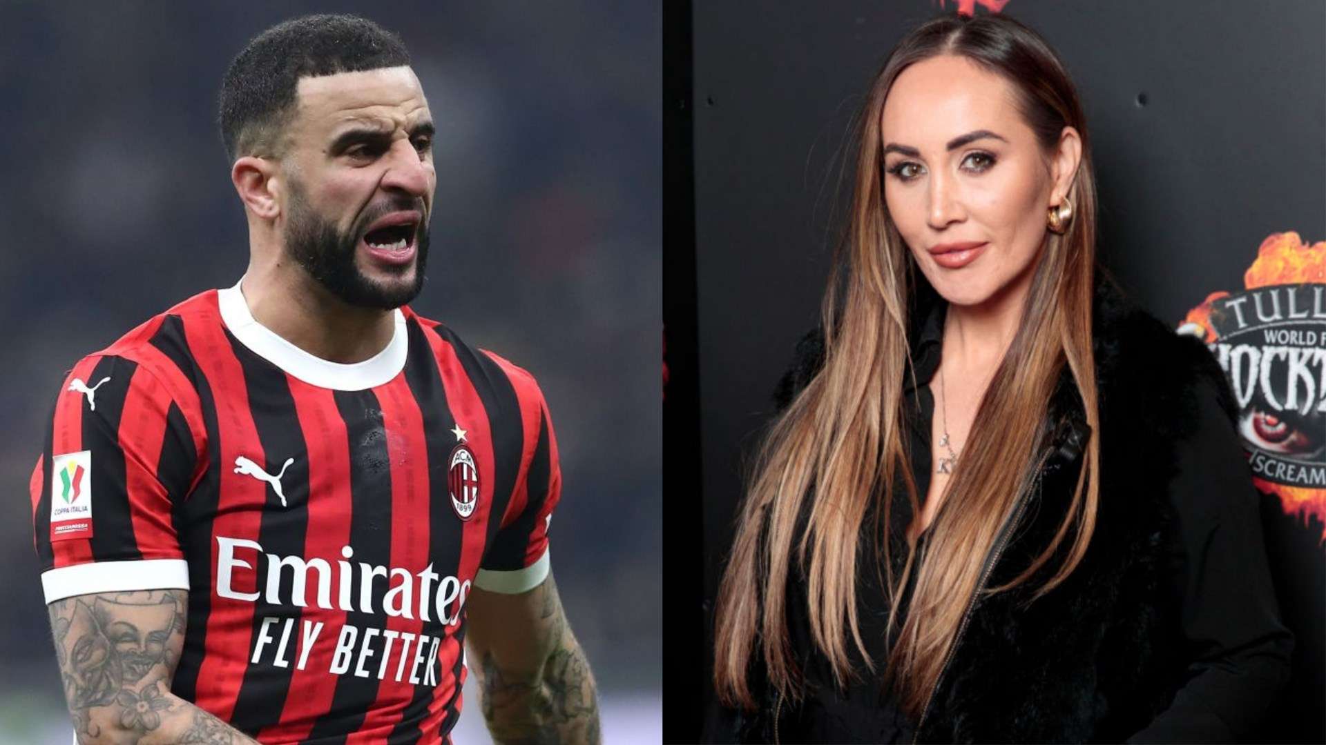 伊布不仅是 伊布不仅是