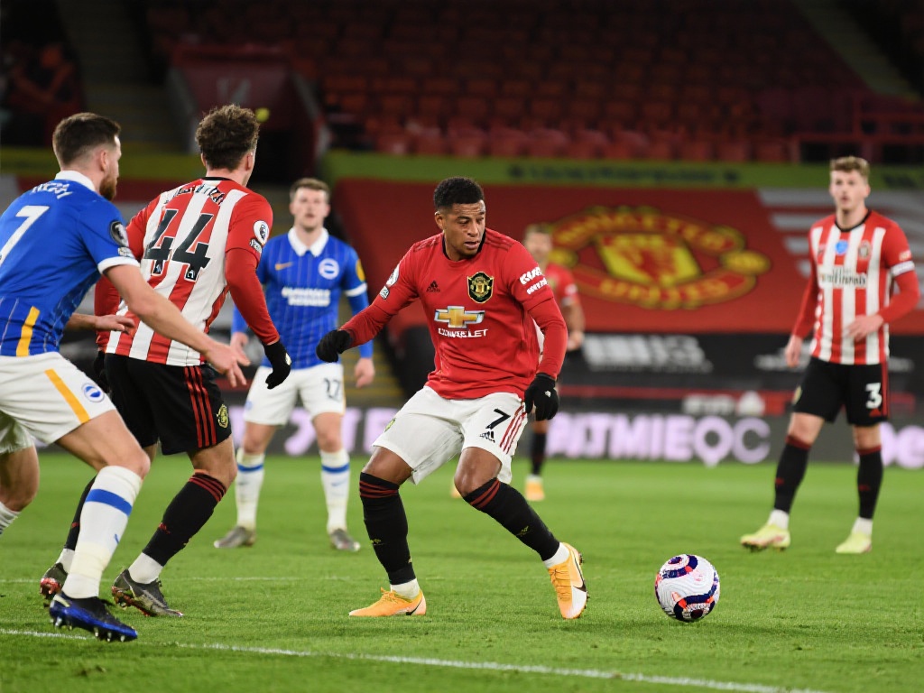 叹为观止 叹为观止